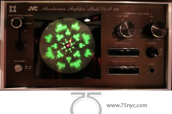 Enlarged view of image